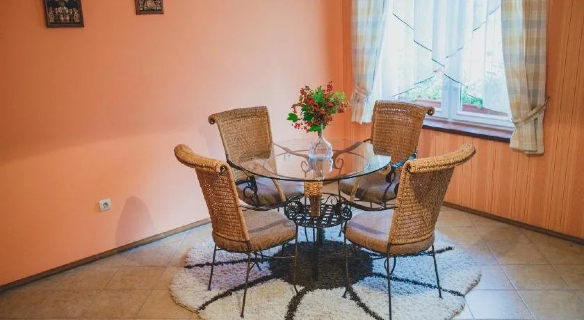 Червона Рута