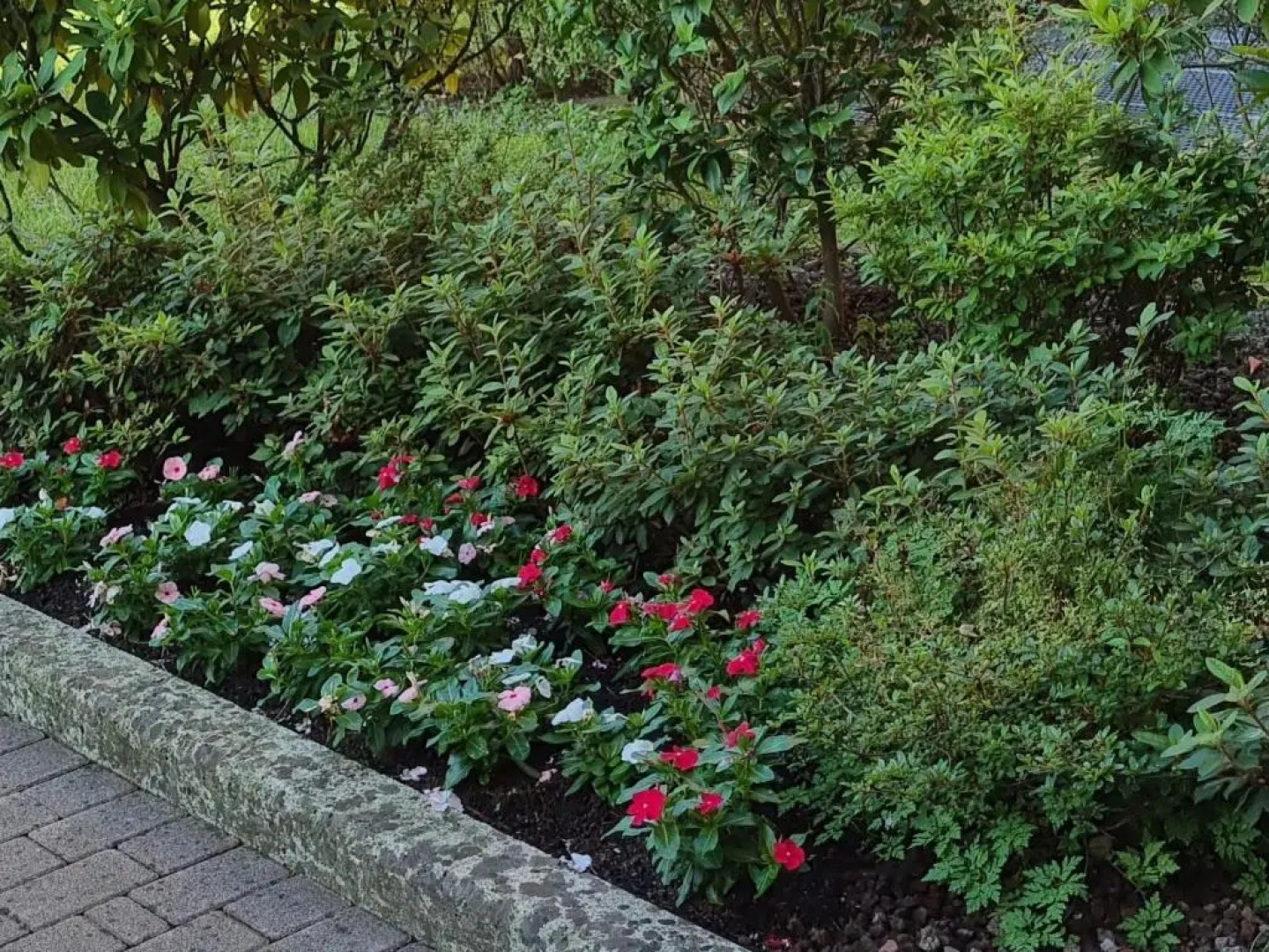 La Casetta Di Grazia E Nino