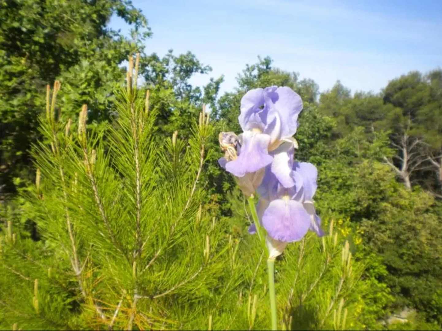 Villa Chemin des bonnets