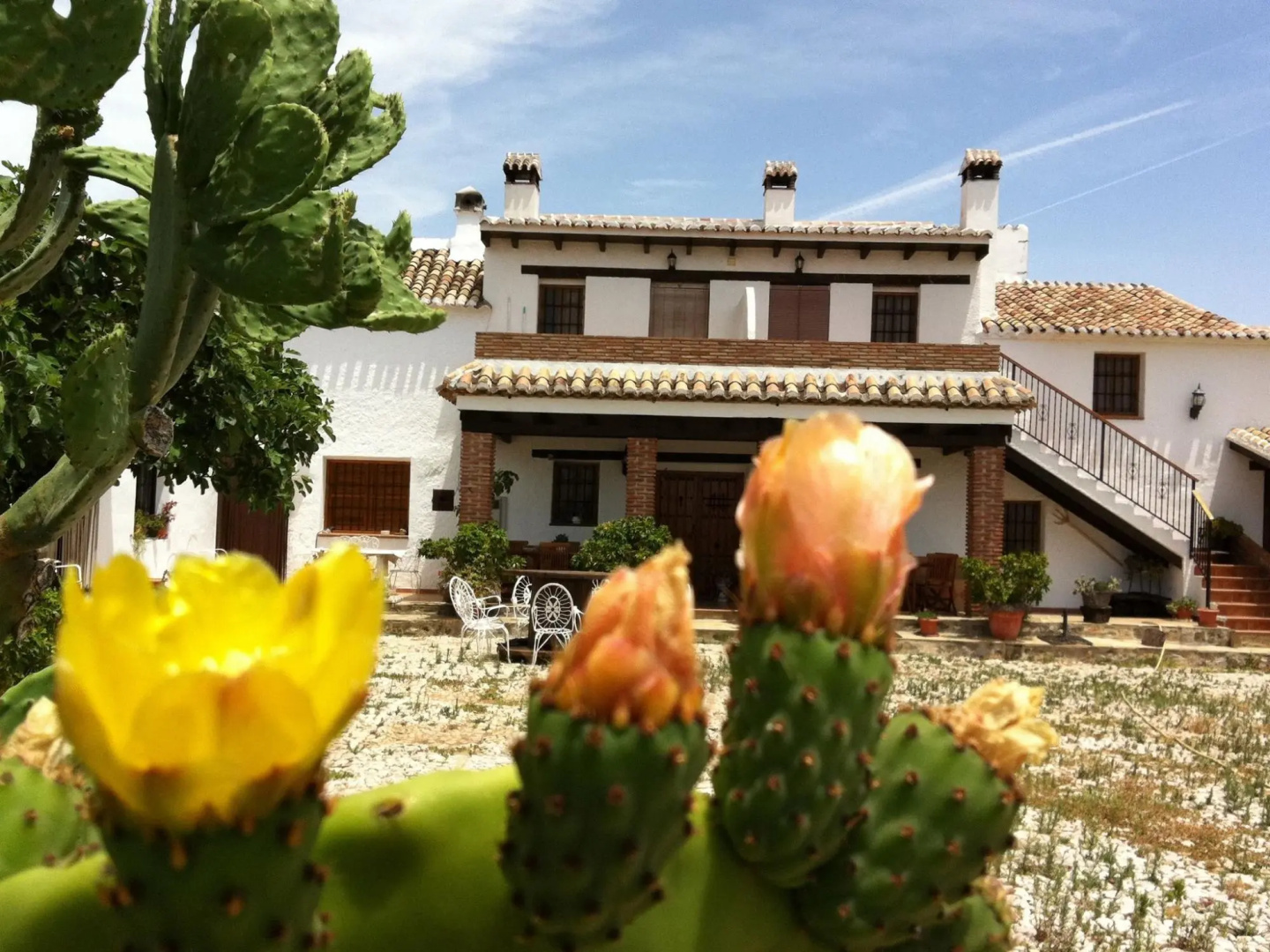 Apartment in Ancient Farm Located in Beautiful Mountainous Scenery in Periana