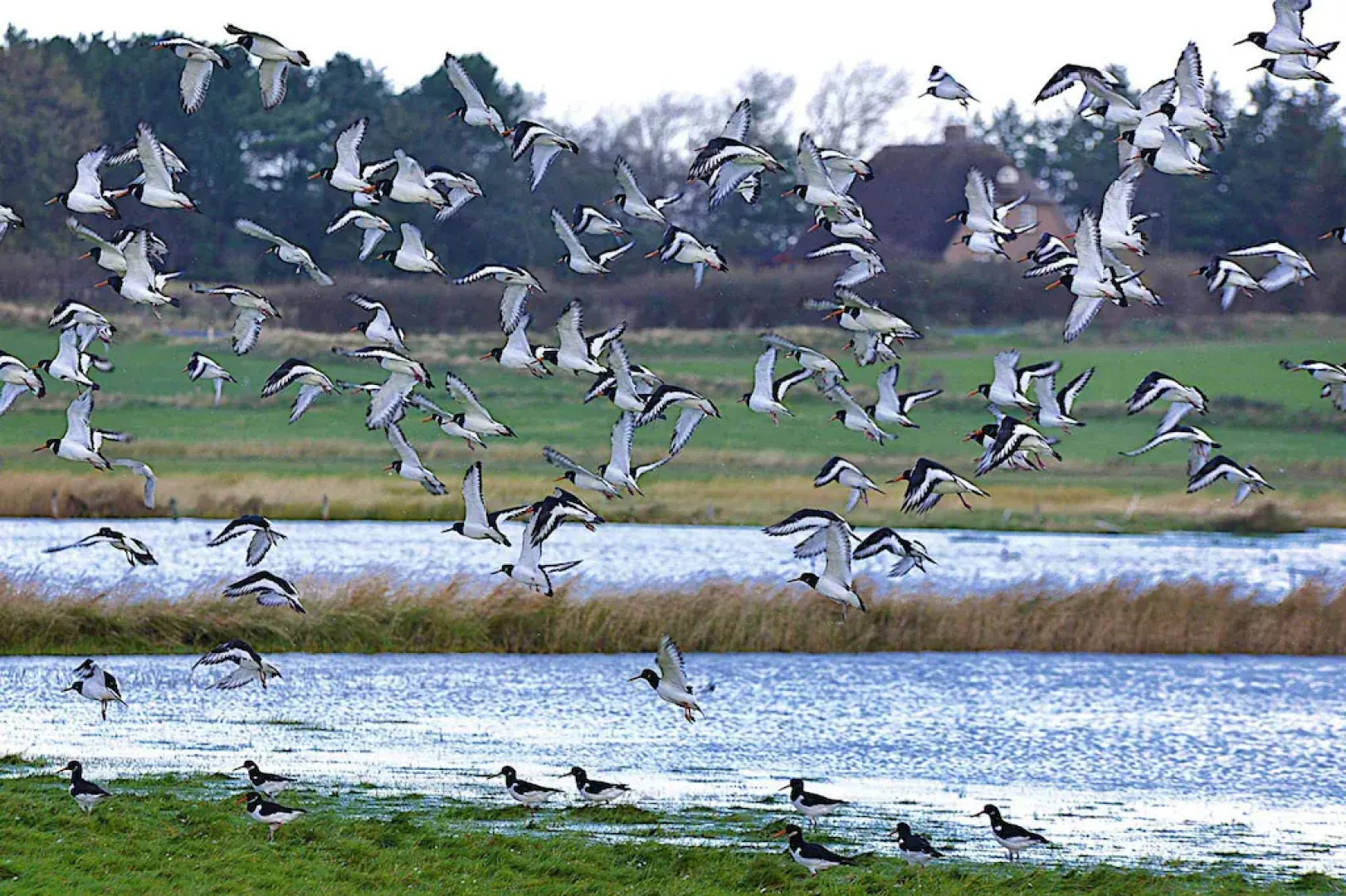 Holiday Home, Oevenum
