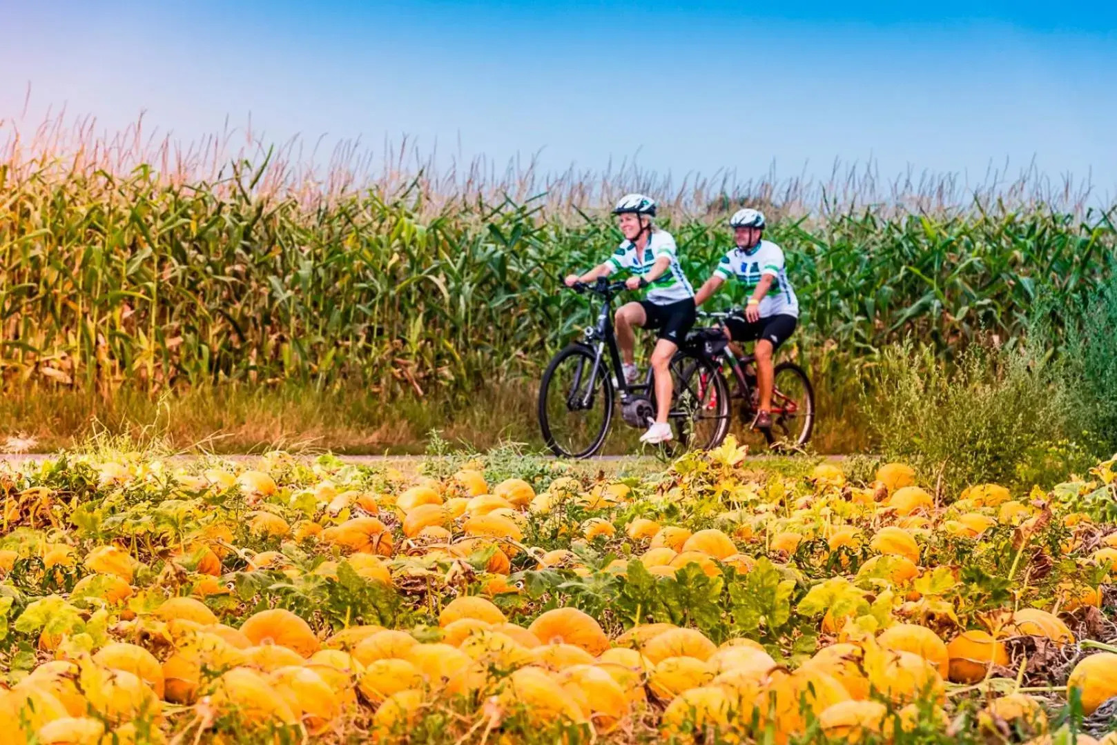 ALTSTADT-APARTMENTS Bad Radkersburg - Ihr Zuhause auf Reisen