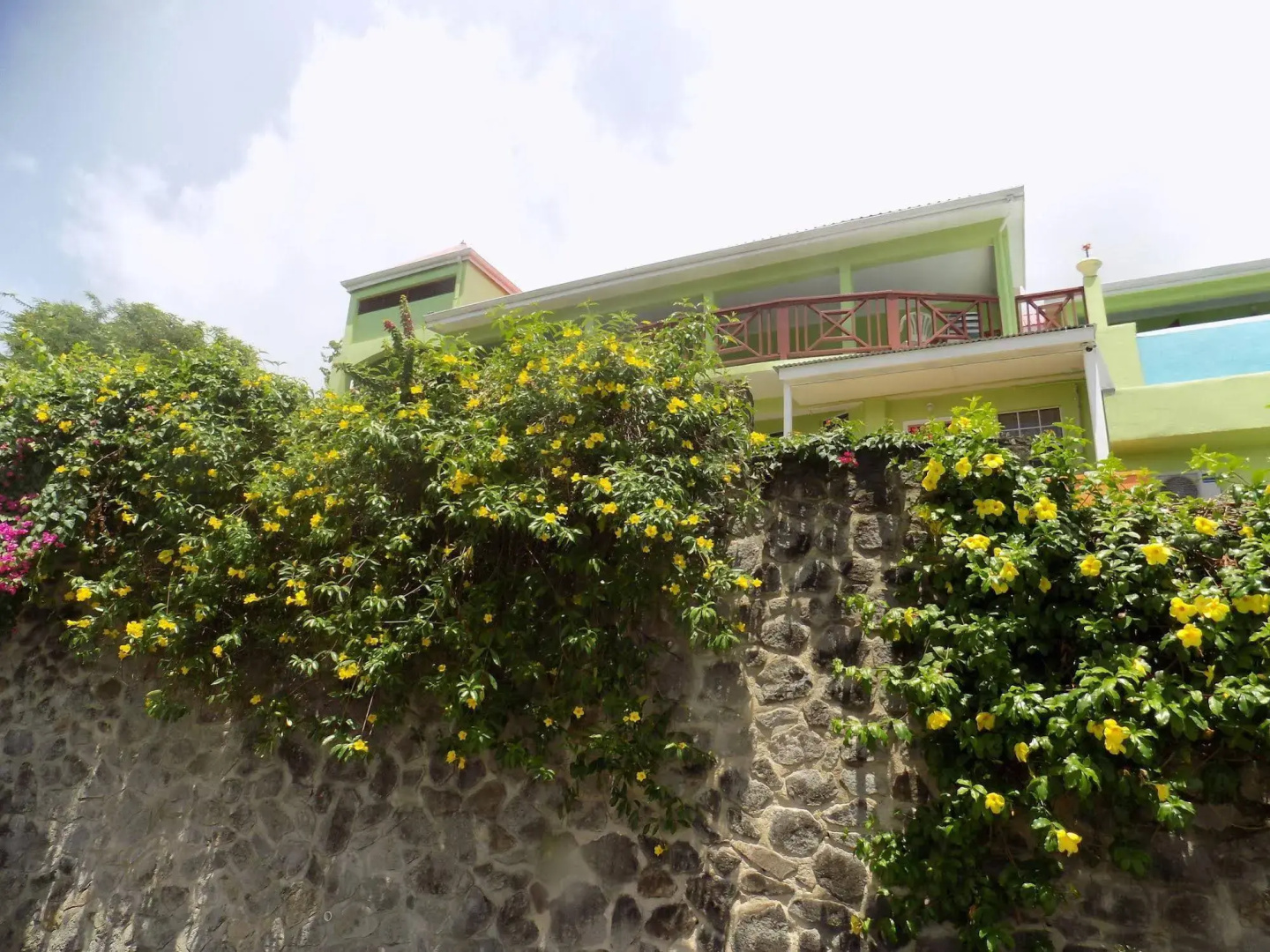 Tropical Paradise View