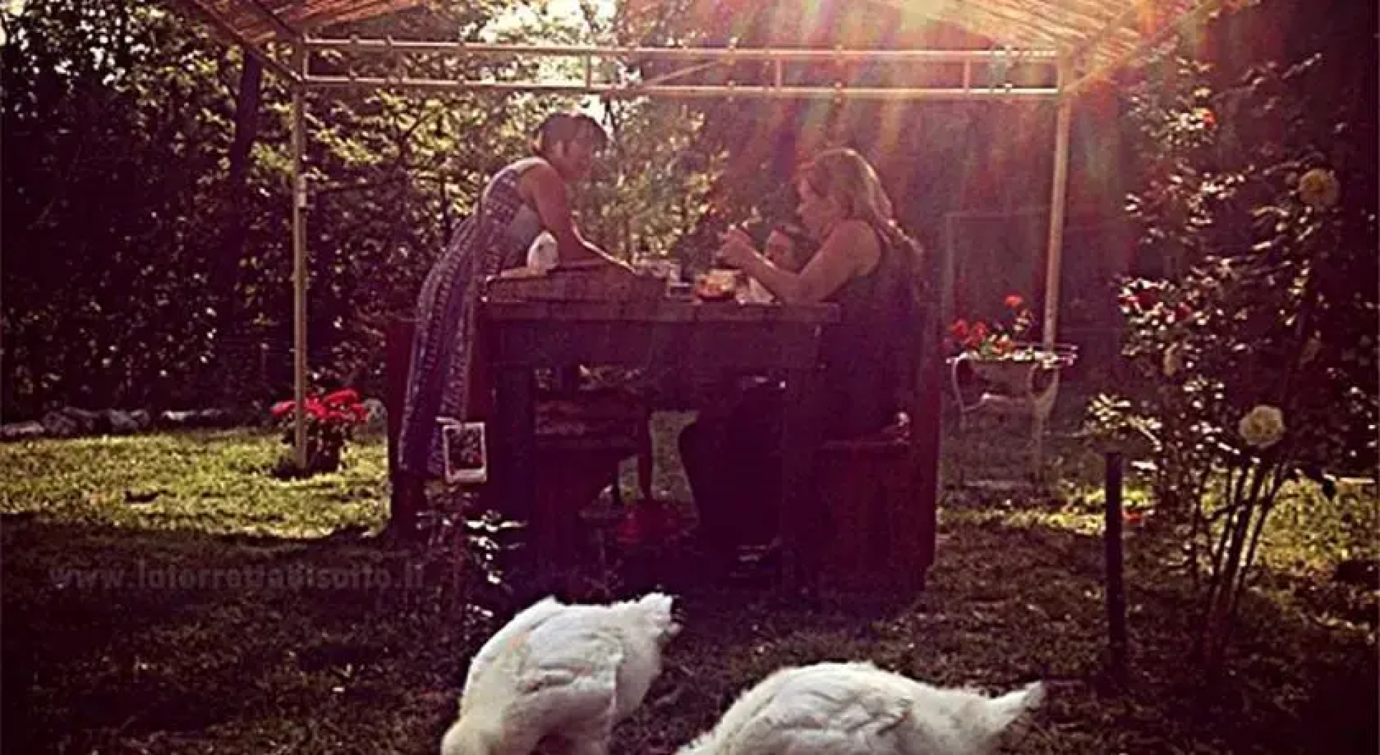 La Torretta di Sotto