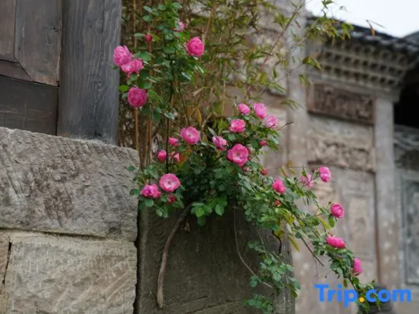 Qujia Courtyard Guesthouse