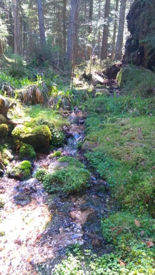 VVF Club Intense La Route des Vins d'Alsace Orbey