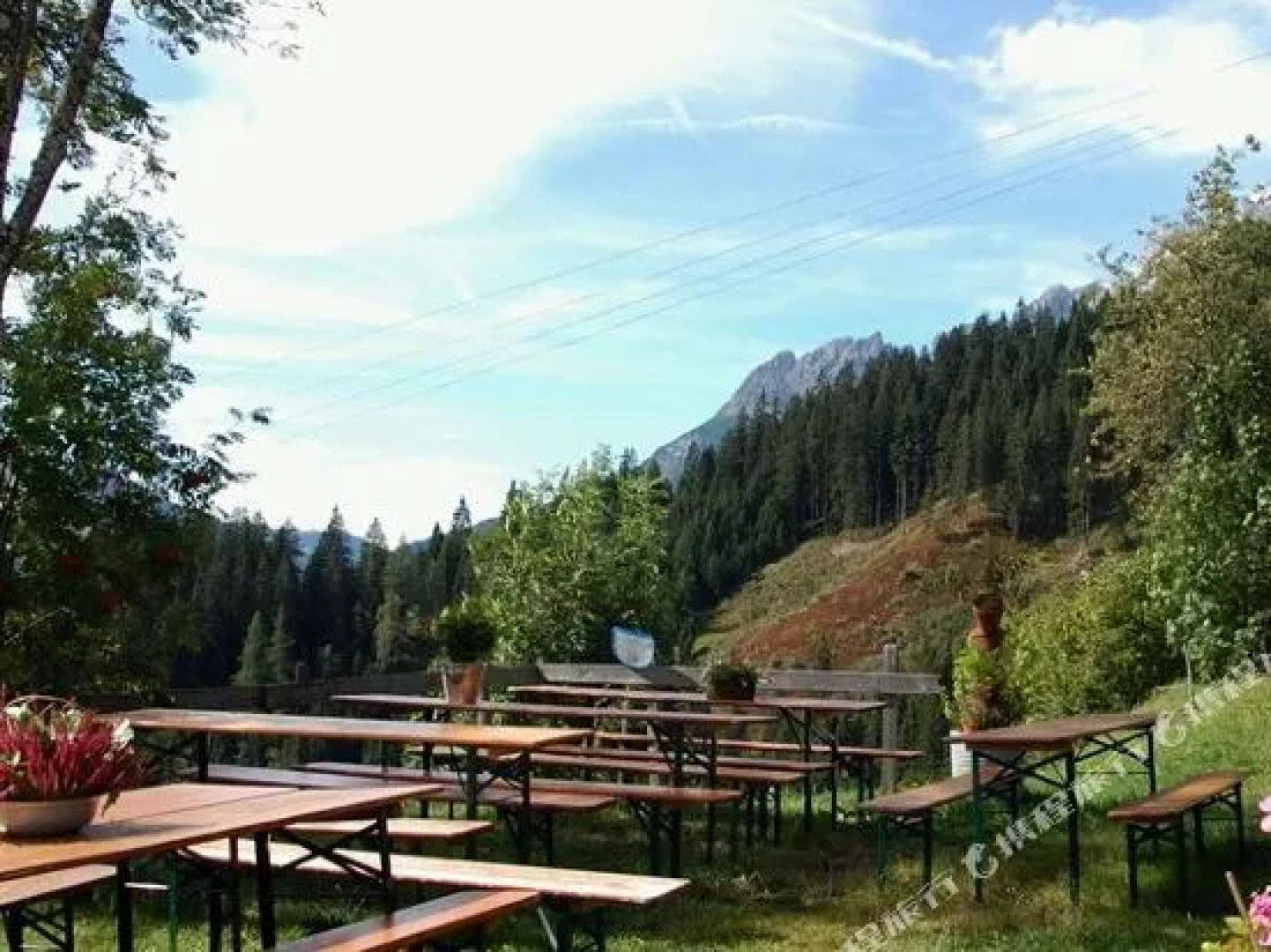 Alpengasthof - Pension Rapoldsberg