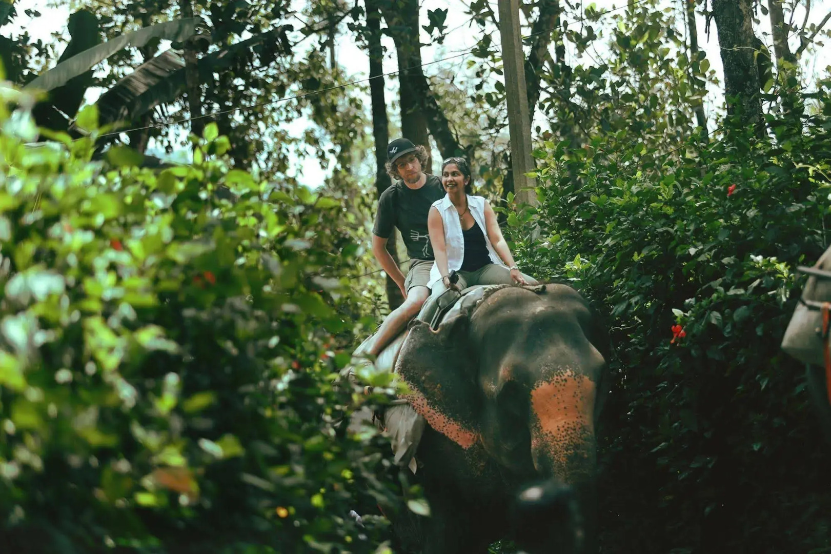 Spice Village - Cgh Earth