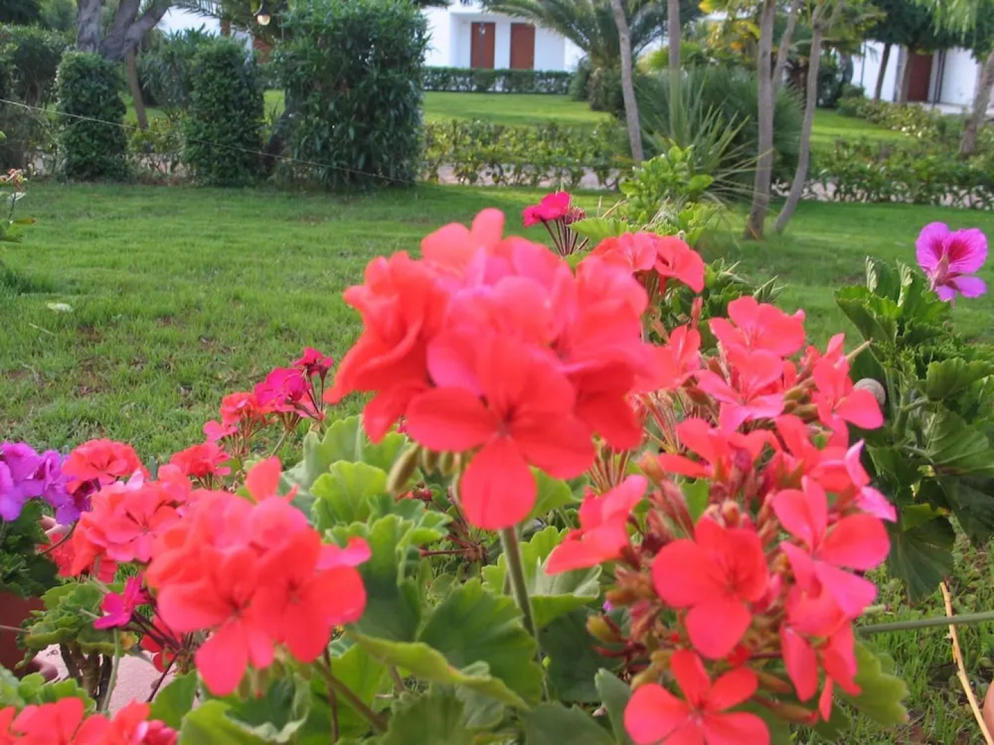 Il Venticello Agriturismo