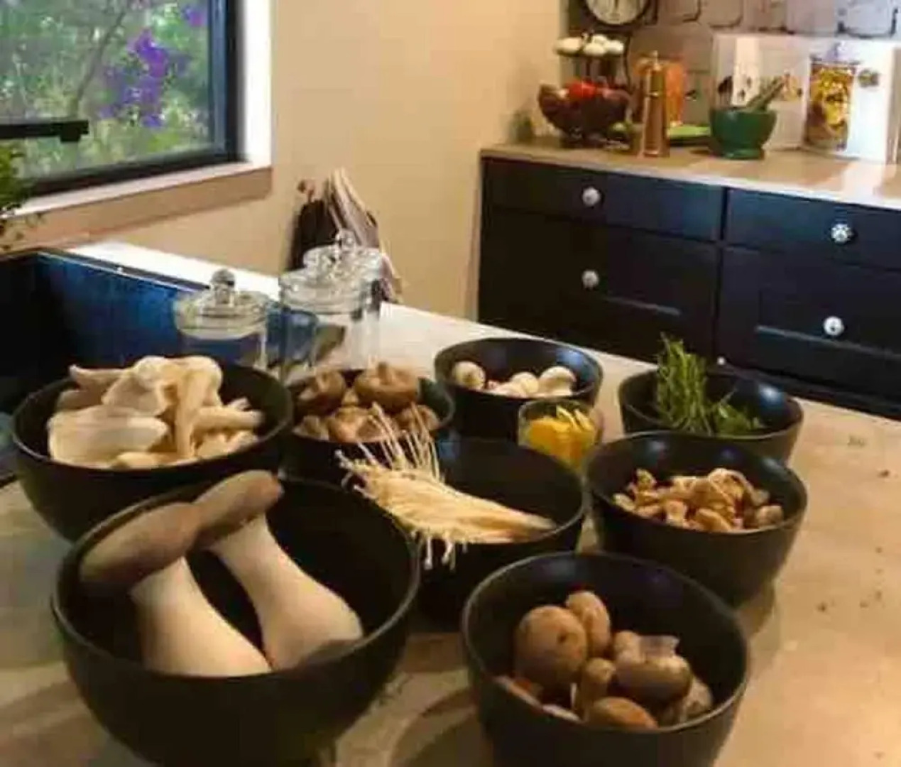 Jardin Tiny House Australia