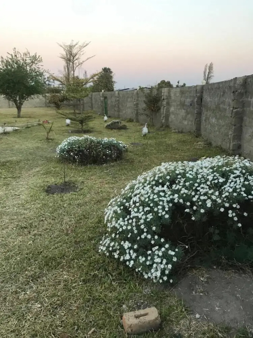 Kavango Dachils Lodges Ext2