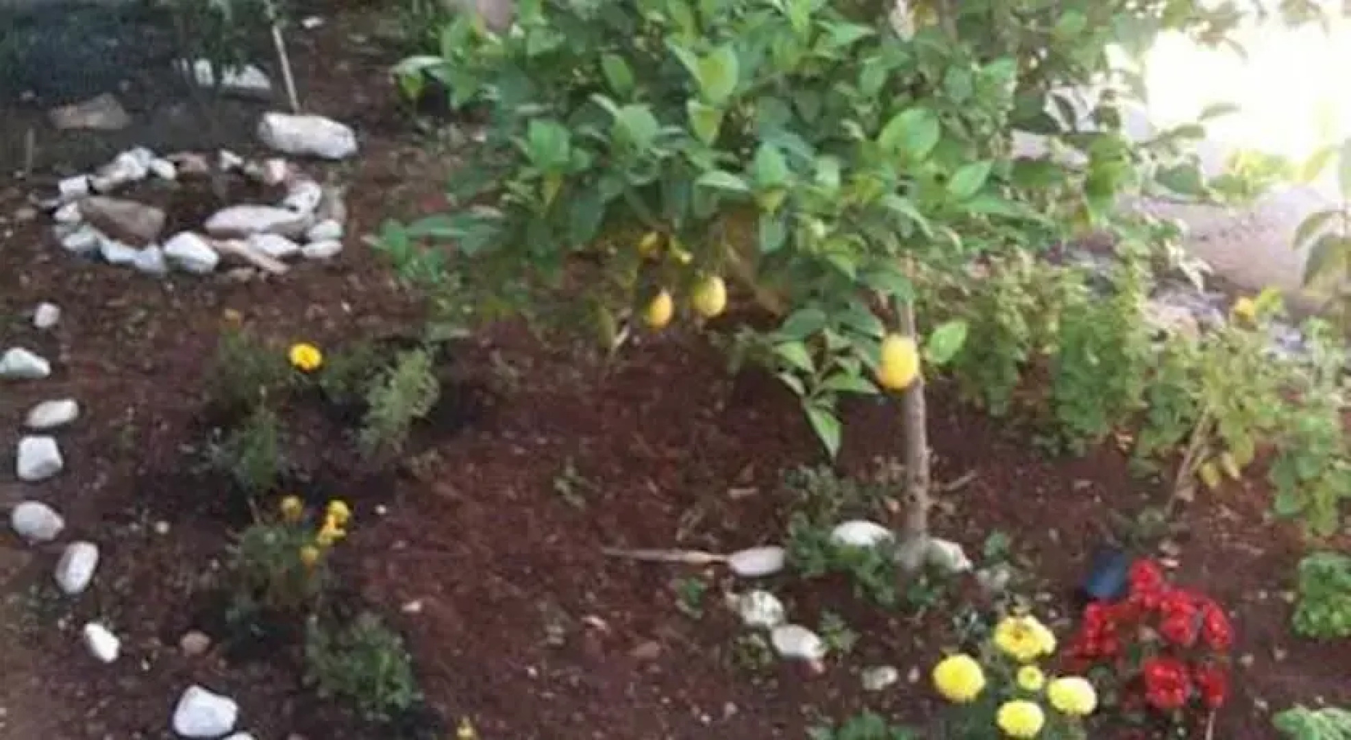 Apartments Lejla Korčula