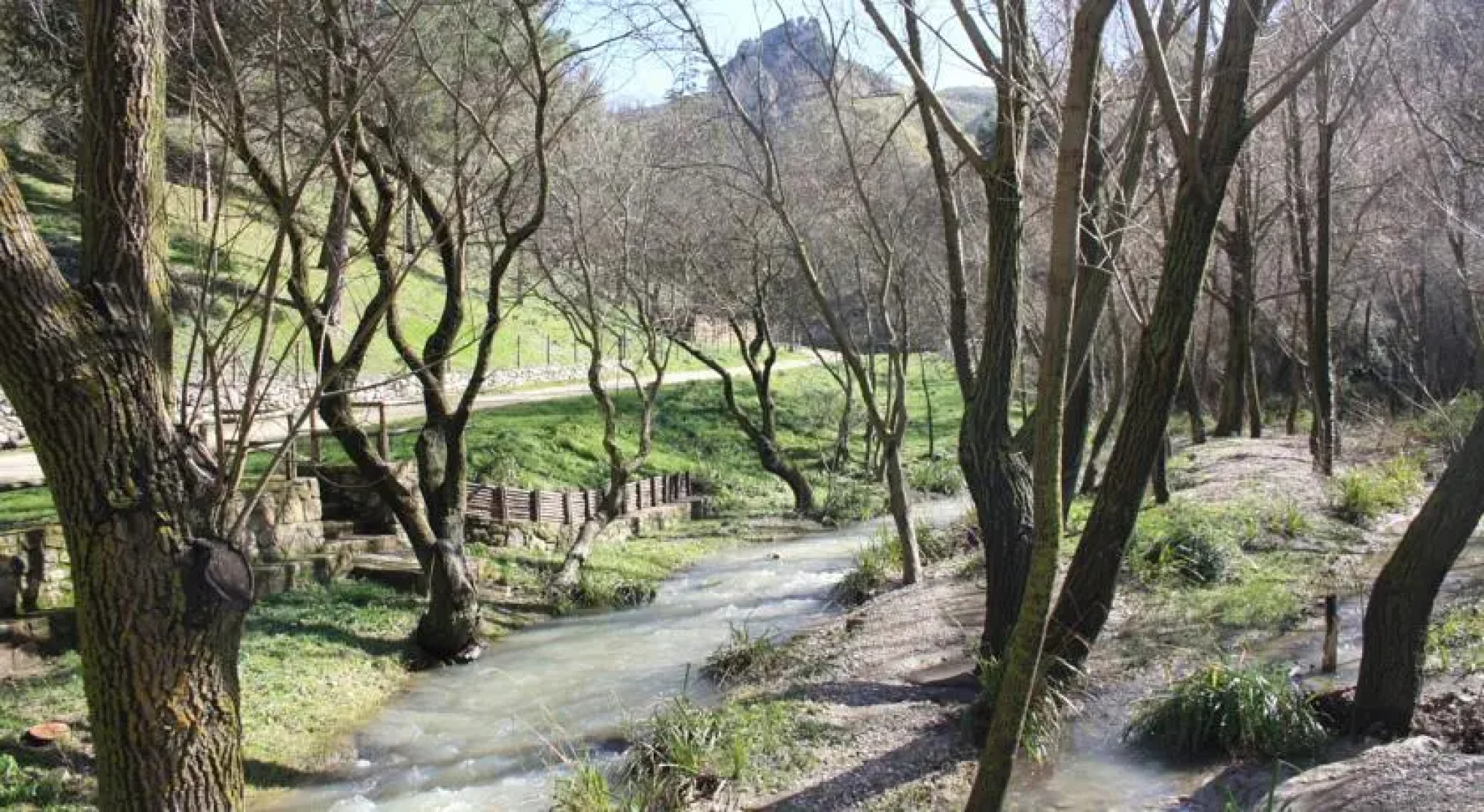 Azienda Agricola Traina