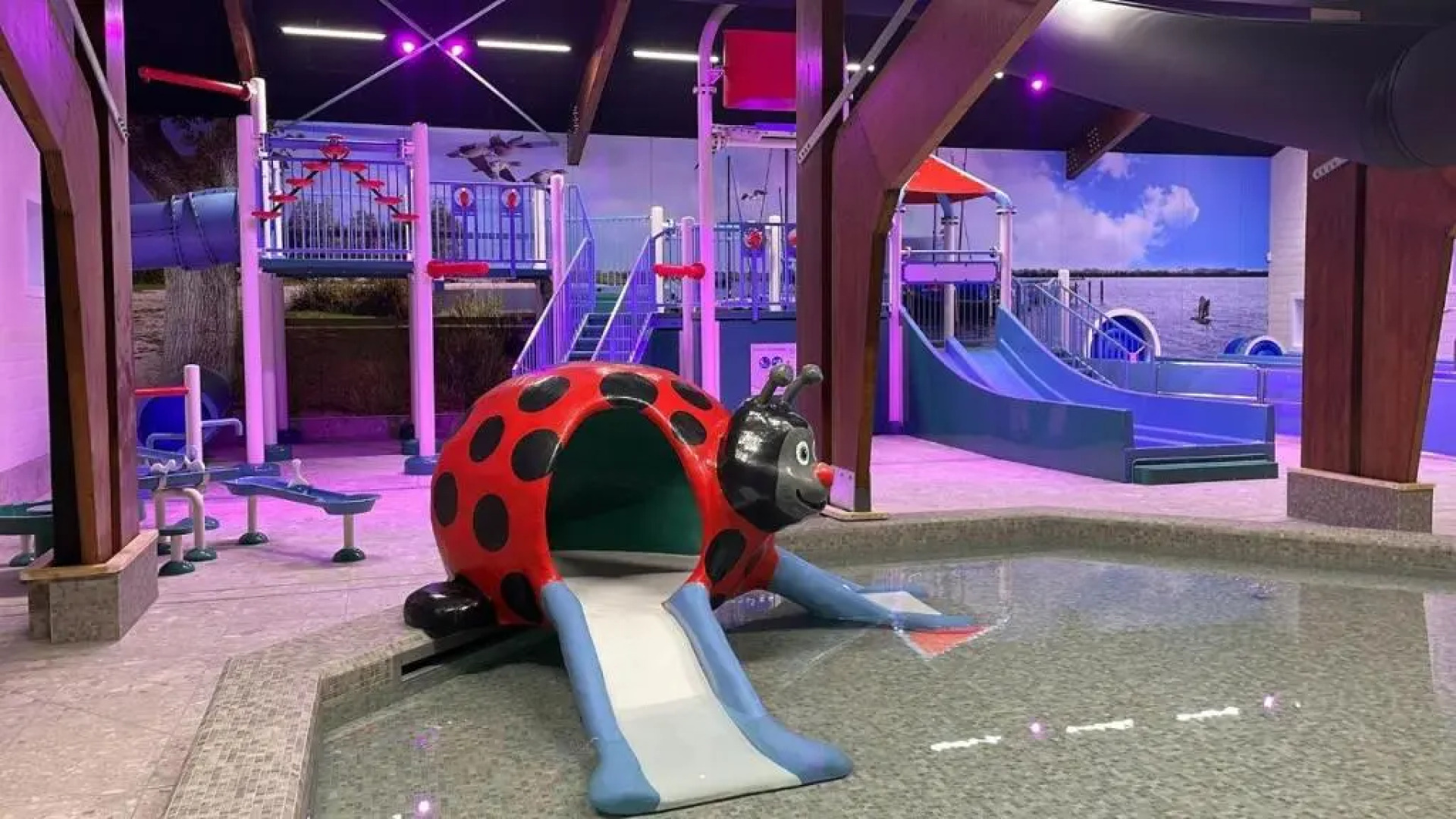 Chalet 156 voor 6 personen De Kuilart 5-sterren camping in Friesland