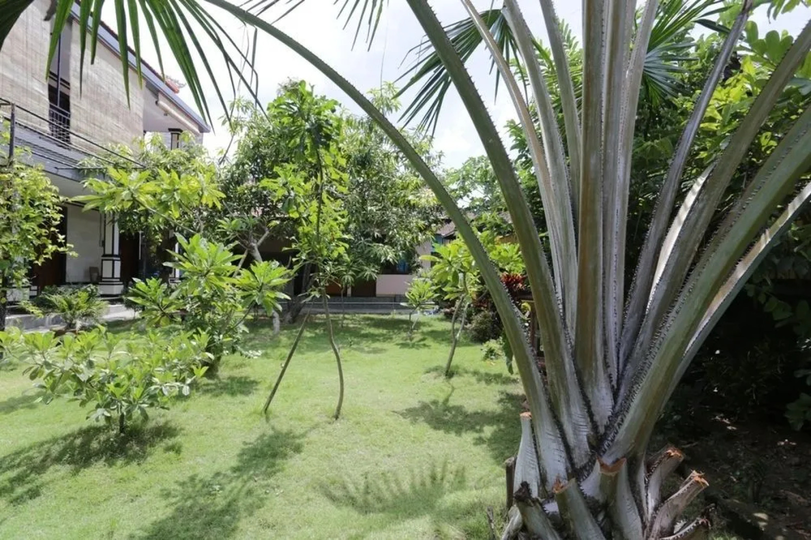 RedDoorz @ Raya Kerobokan 2