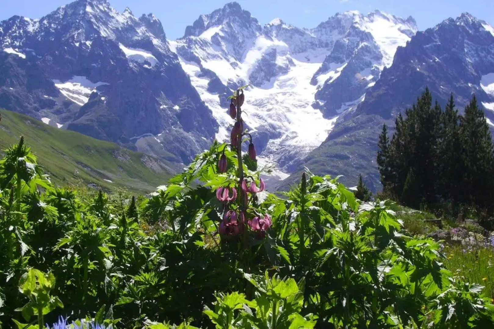 Les balcons de La Meije n 59 - Cozy and bright studio facing La Meije