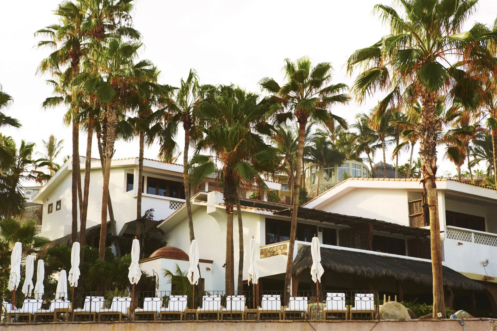 Cabo Surf Hotel & Spa