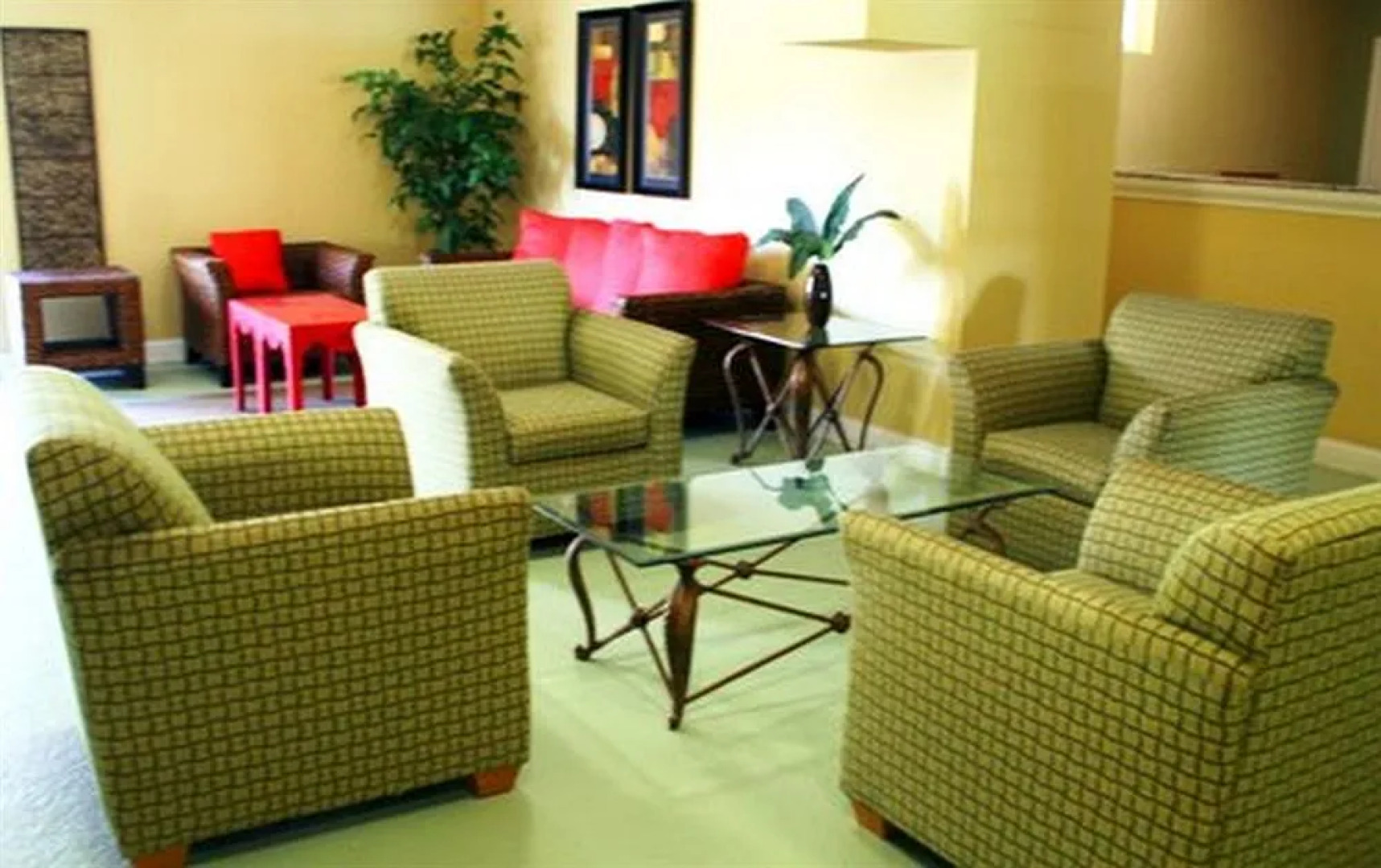 Palms of Treasure Island