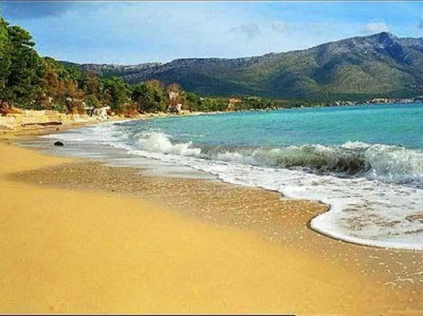 Vida With Garden - SA4 - Studio Mandula