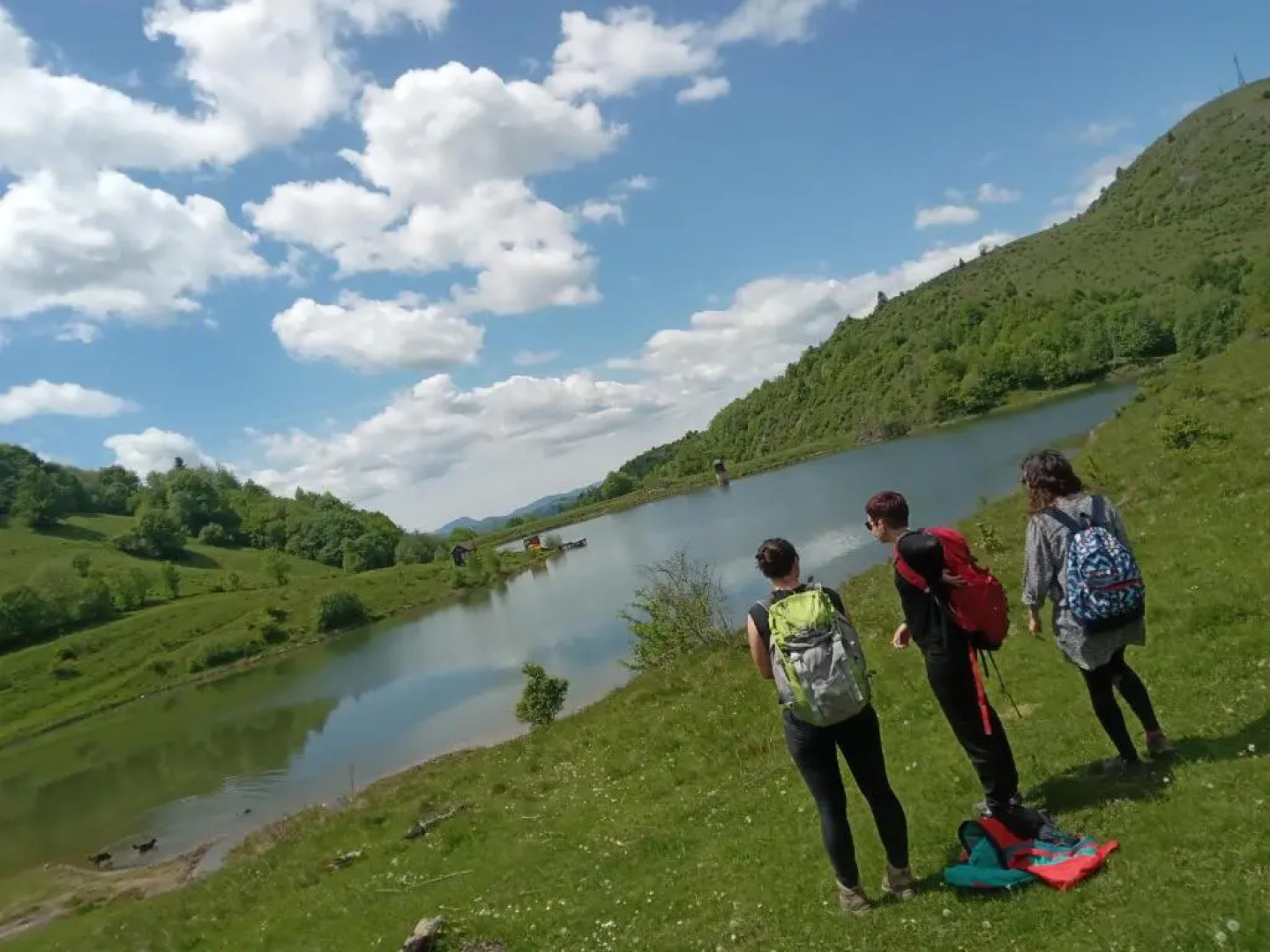 Room in Guest room - Cozy Sejour Near Forest for 2 people