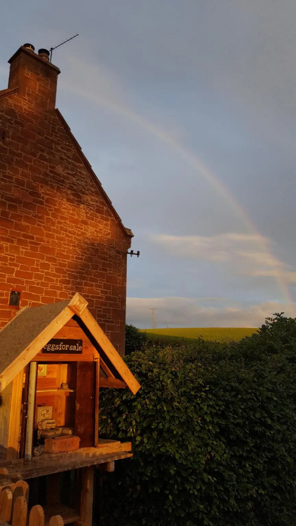 Kennels Cottage By Eco Indigo