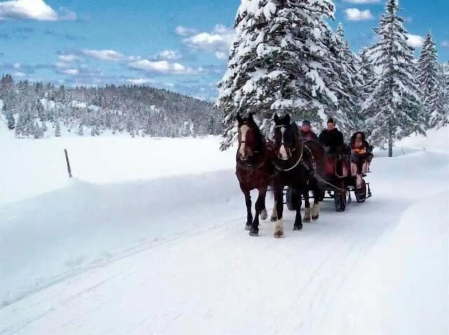 Alpenrose Traditionsgasthof Mittenwald