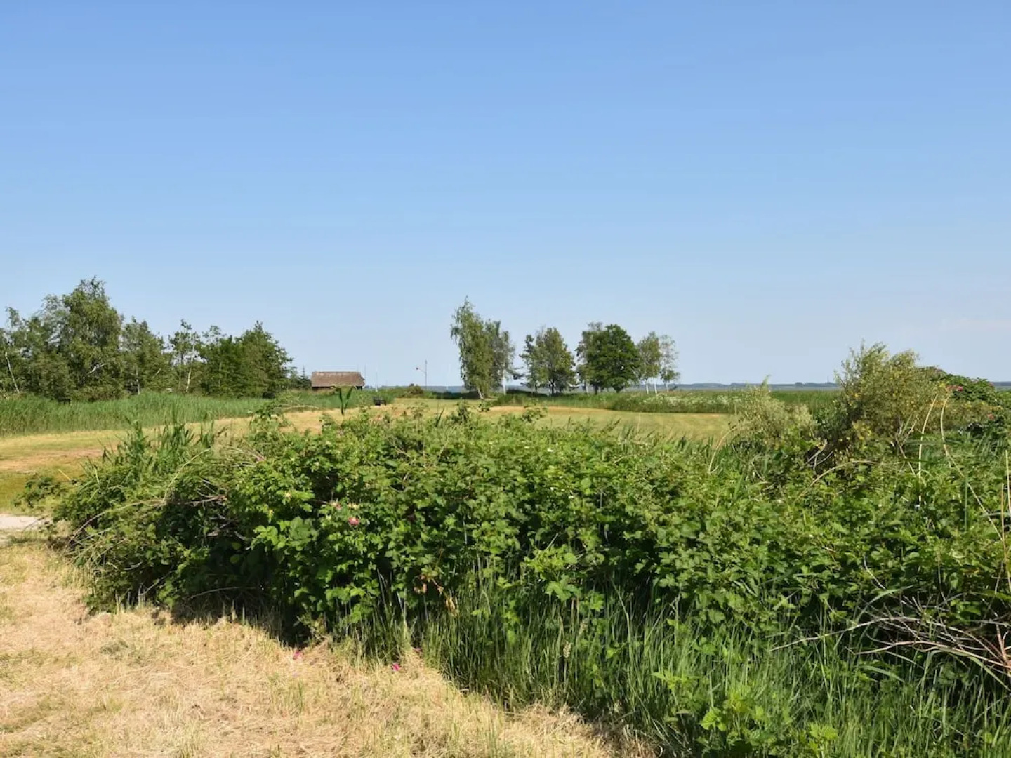 Ferienwohnung in Gross Kordshagen mit Garten