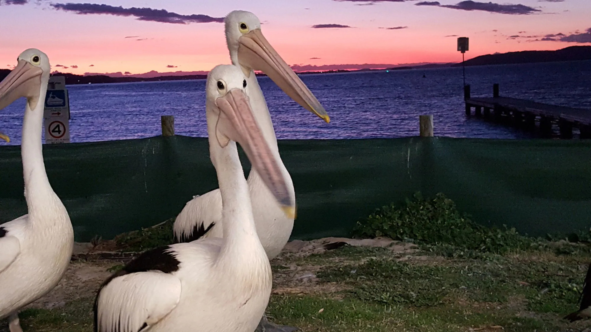 Admiral Nelson Motor Inn