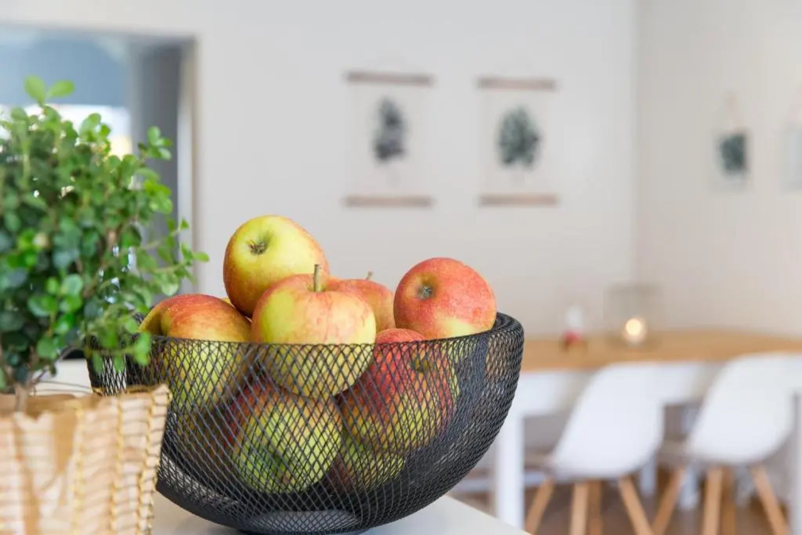 Adler Hotel & Gasthaus