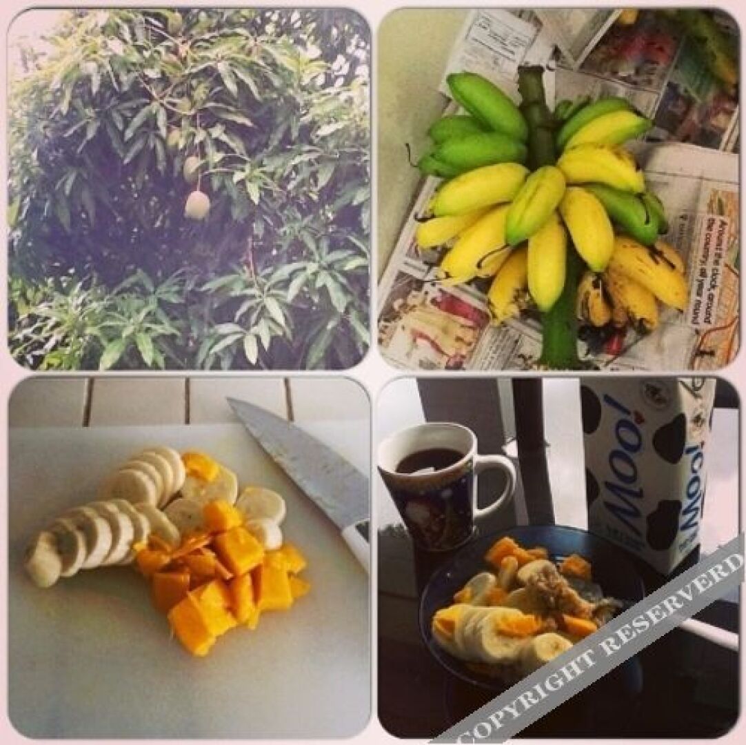 Bananaquit Apartments