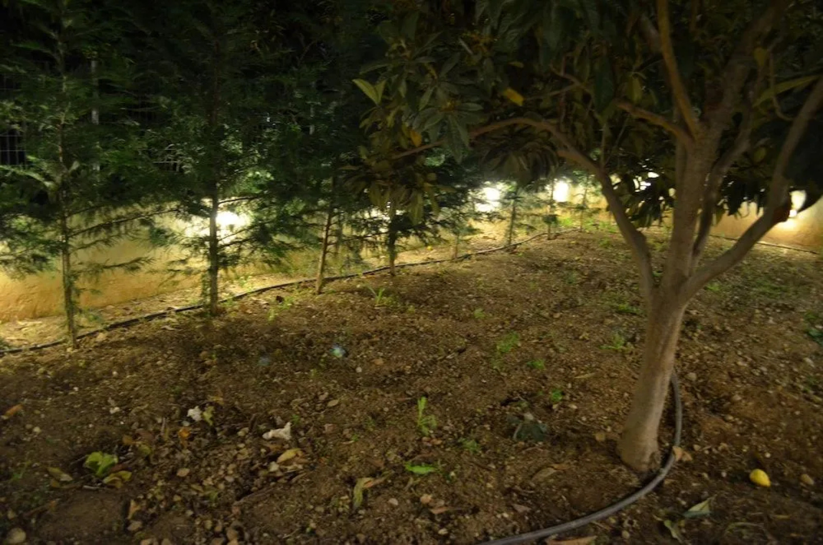 Blue Ark Aigeira Flat & Studio