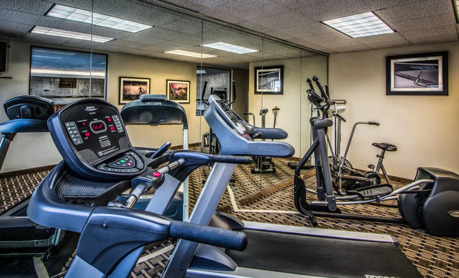 Holiday Inn Express & Suites South Haven