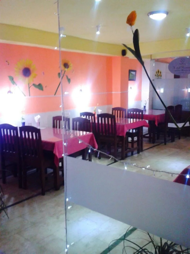 Hotel Thamsar