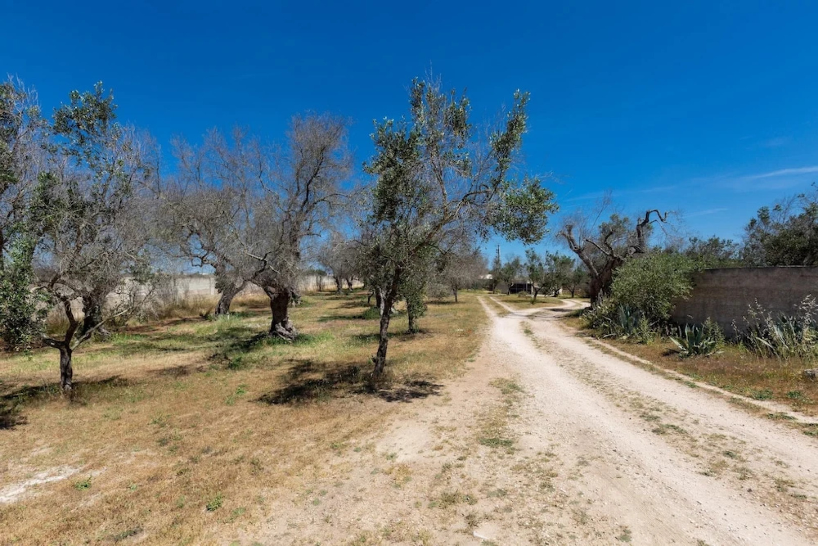 2973 Tenuta Elisabetta- Camera Tripla by Barbarhouse