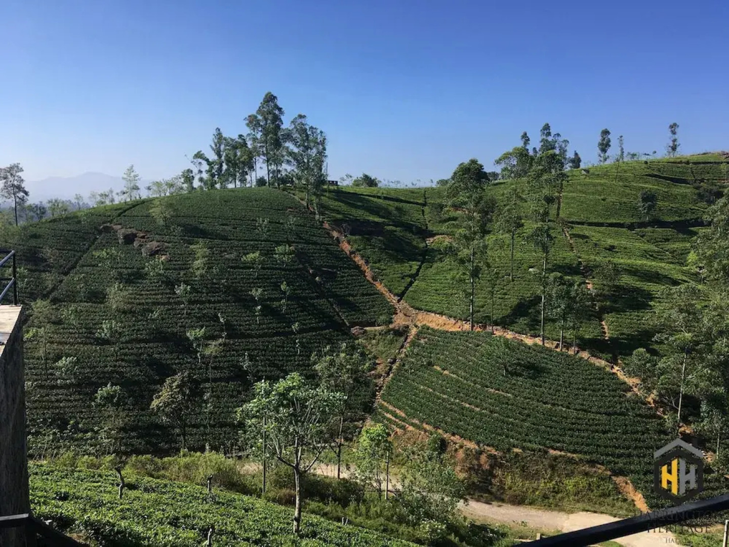 The Harrington Heritage Bungalow