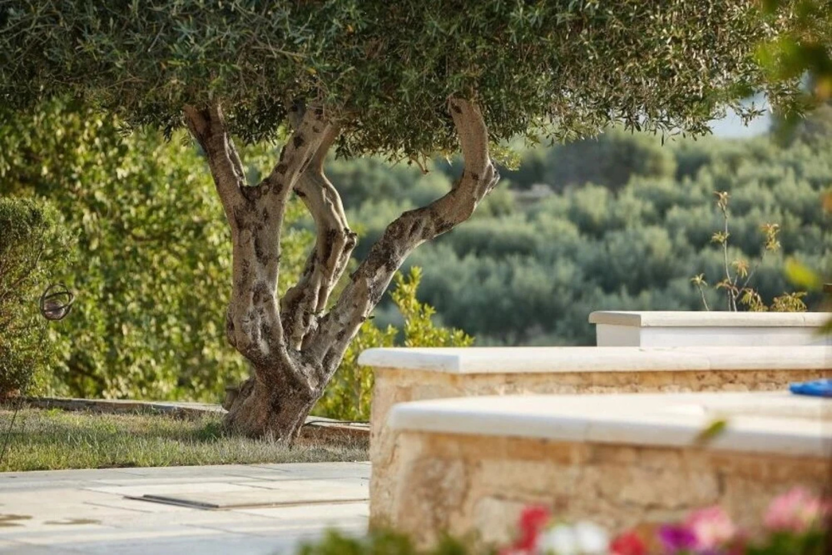 Luxury Crete Villa Villa Malvazia Beautiful 4 Bedroom Villa Private Pool Gym Keramoutsiou