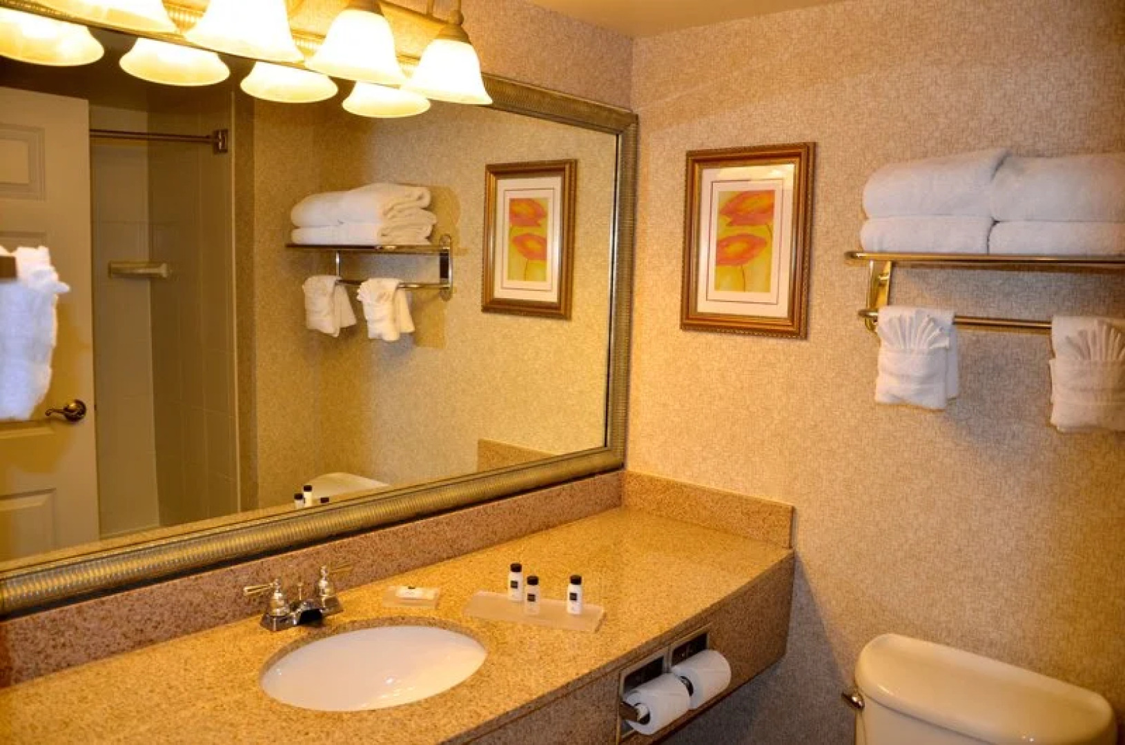 Holiday Inn Express & Suites Prospect Heights