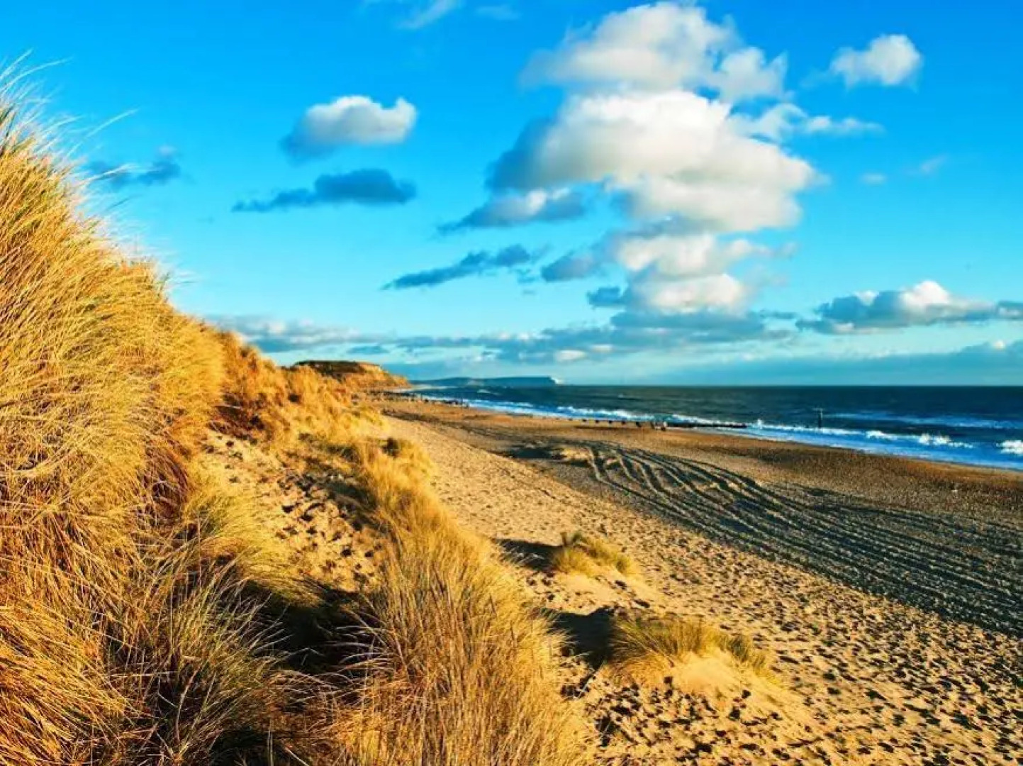 Trimstone Manor Cottages