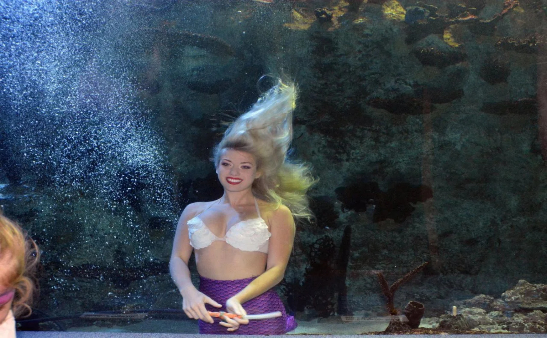 Holiday Inn Express & Suites Spring Hill by IHG