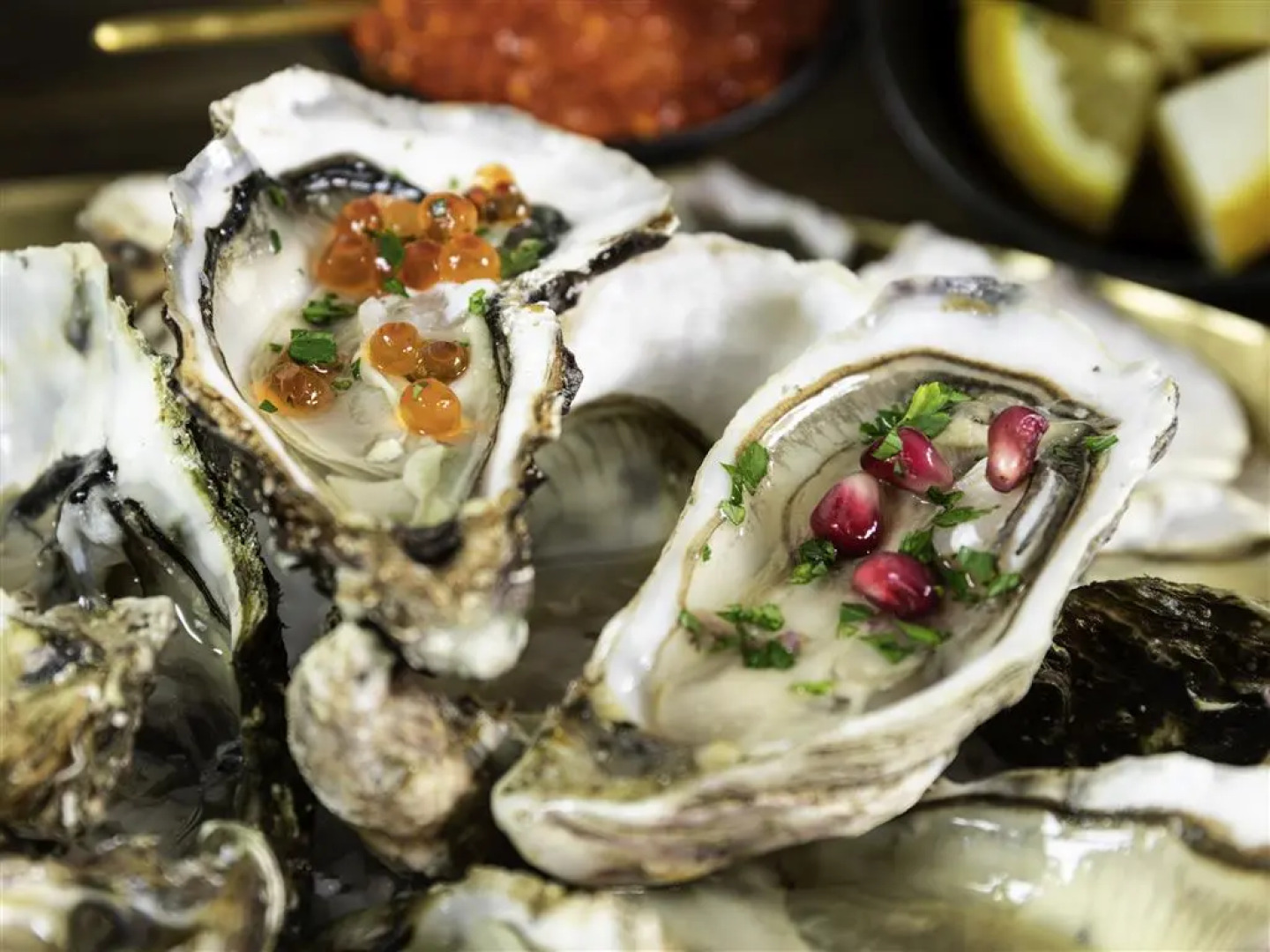 ibis Sète Balaruc les Bains Bien-être et Spa Hotel