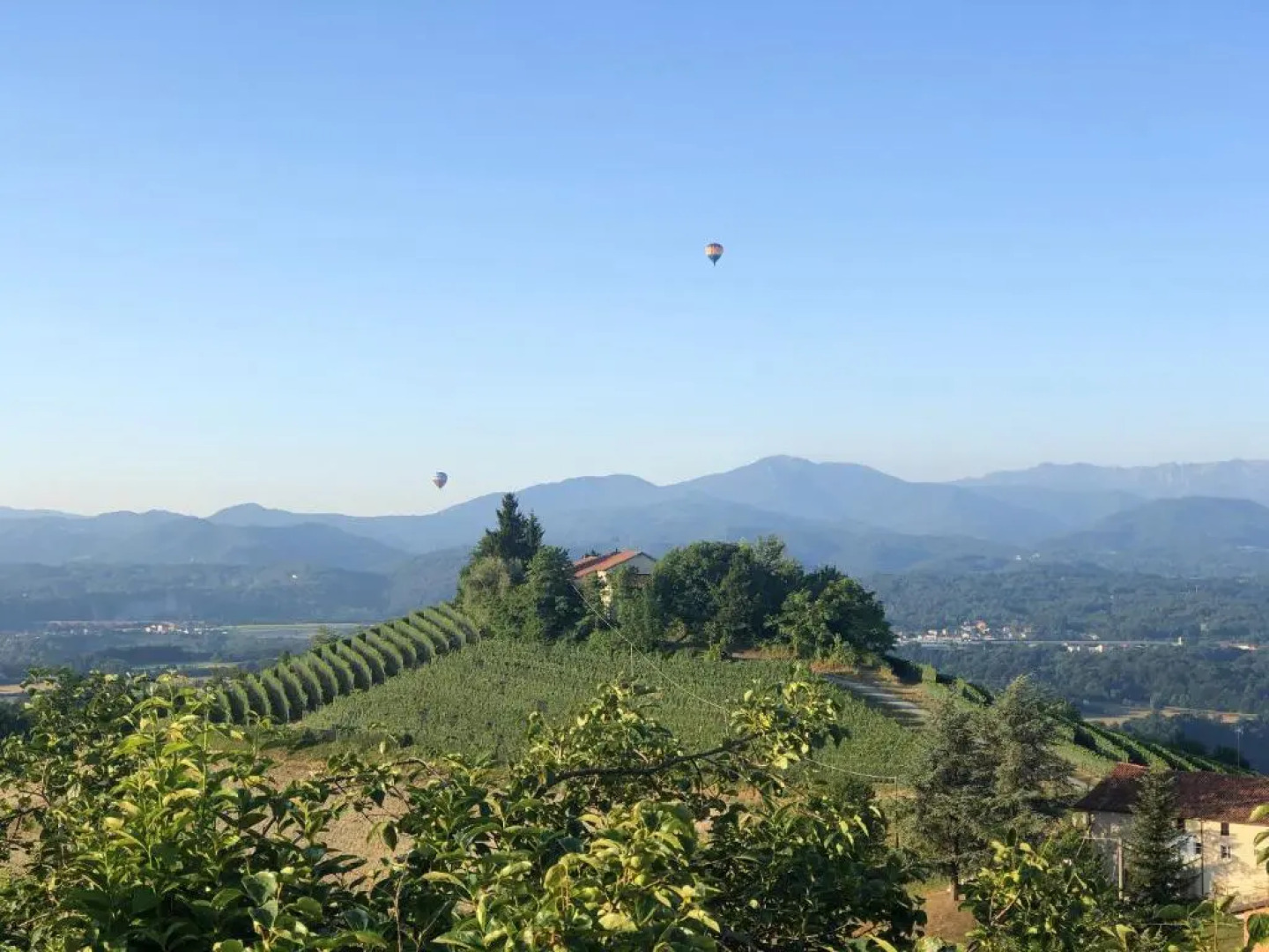 2 bedrooms house with enclosed garden and wifi at Merluzzi