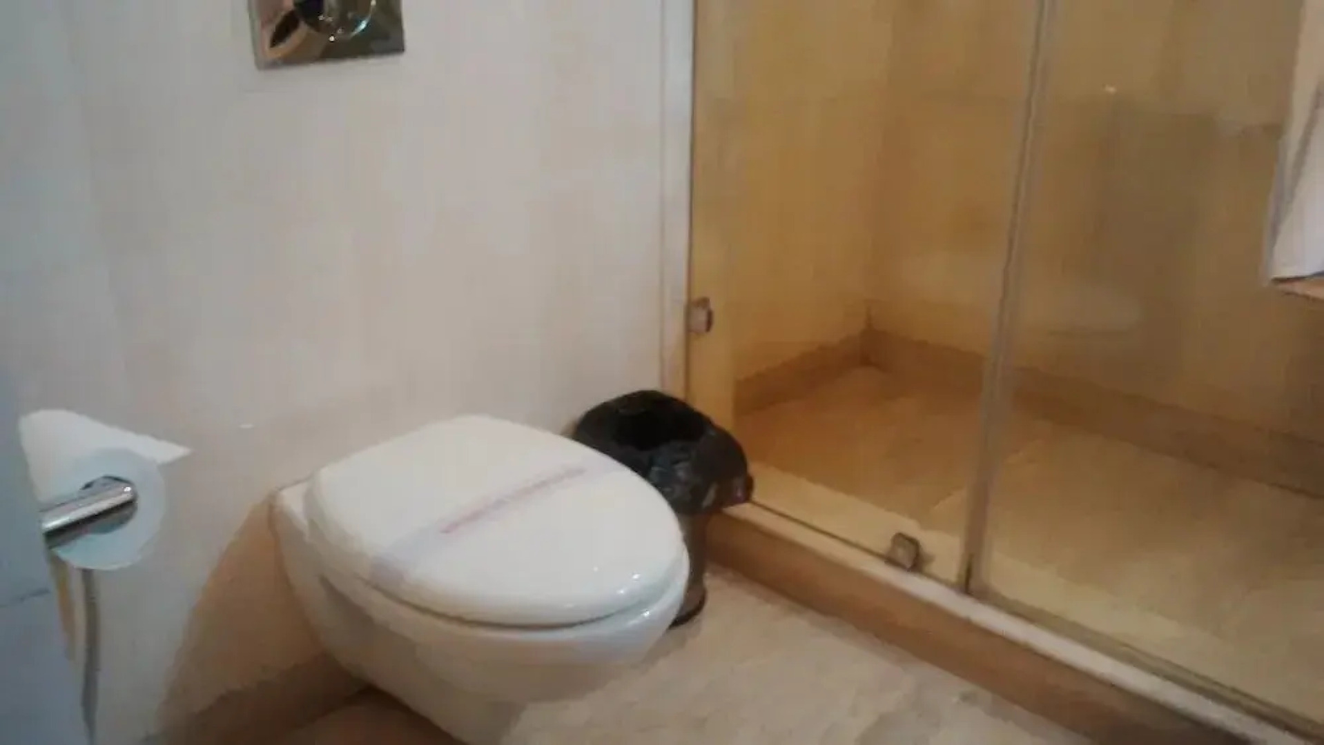 Woods Resorts by Oyo Rooms