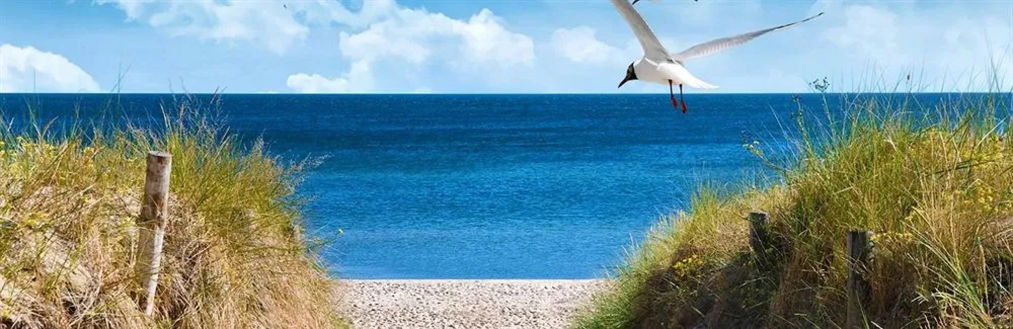 Apart Hotel Gwiazda Morza