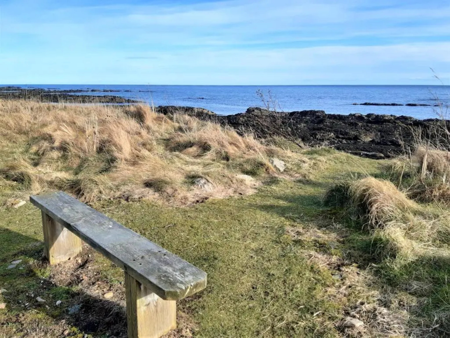 Song of the Sea, Selkie House