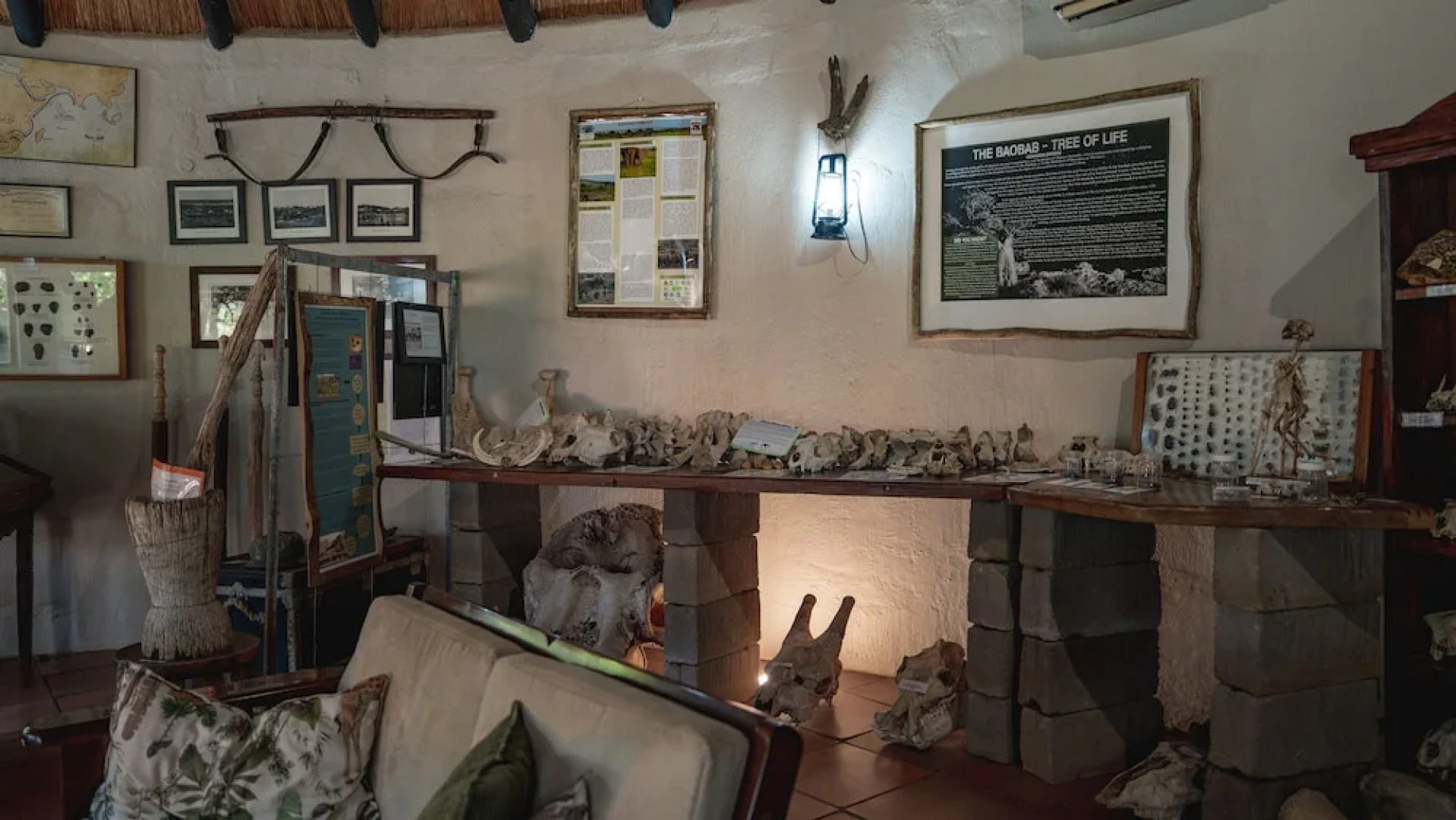 Mashatu Lodge - Mashatu Game Reserve