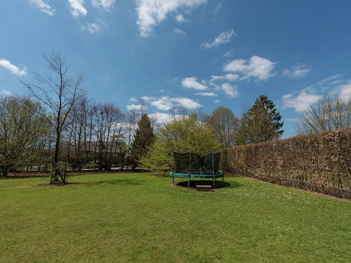 Modern Holiday Home in Waimes With Swimming Pool