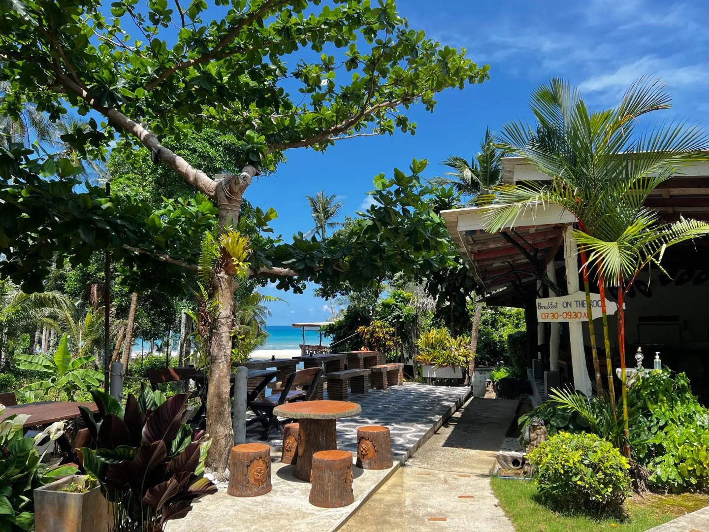 Sunshine on the rock