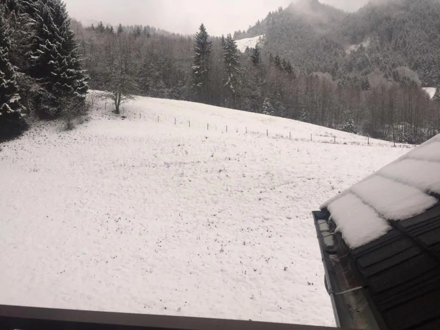 Appartement Bernex, 2 Pièces, 6 Personnes - Fr-1-498-31