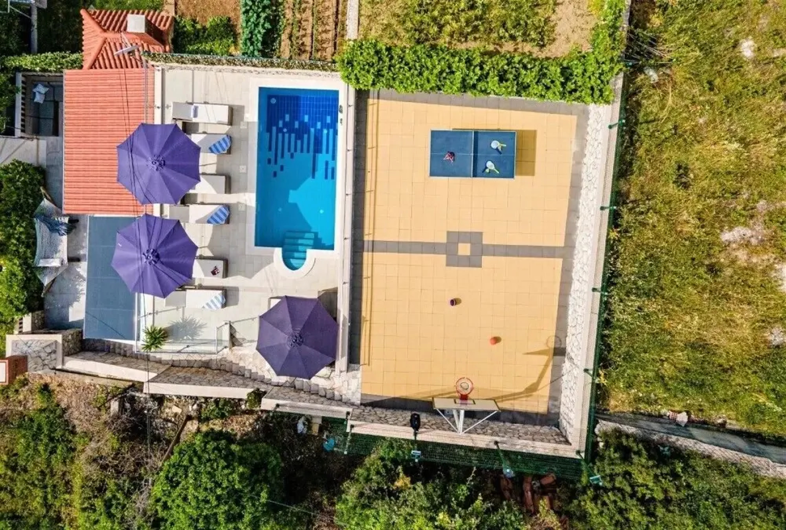 Private Pool Basketball Court