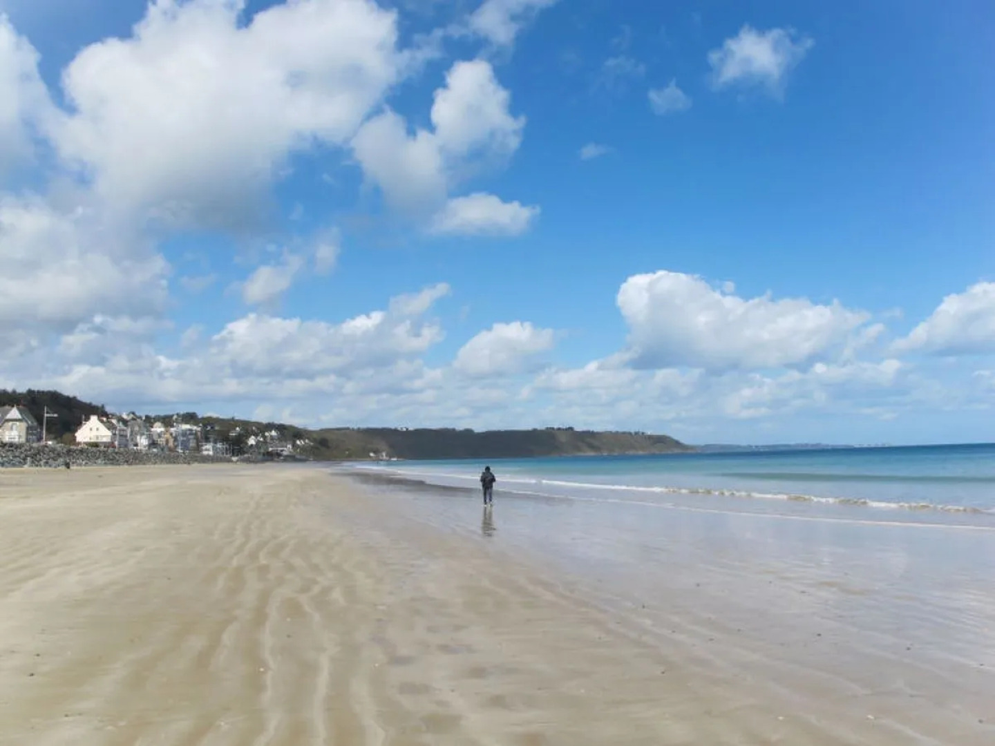 Le Cedre Bleu (PLX107)